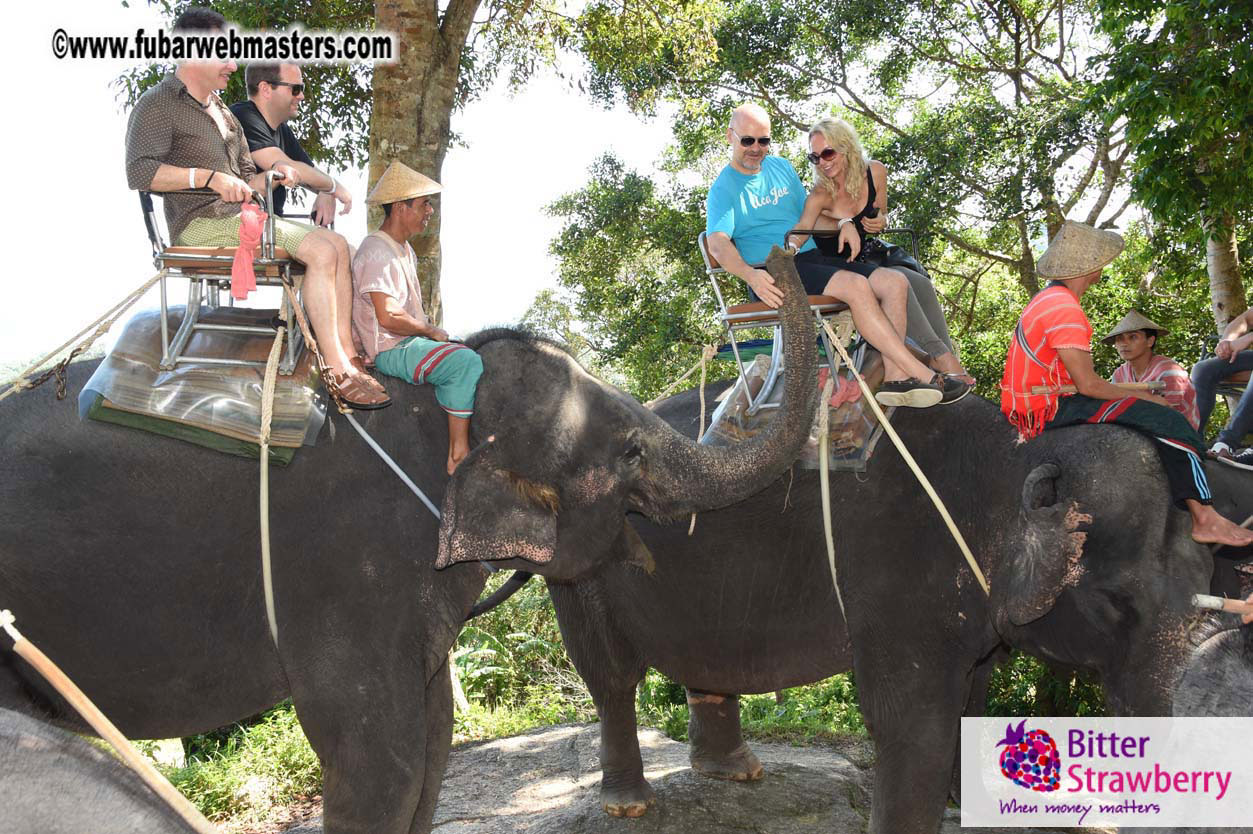 Elephant Safari