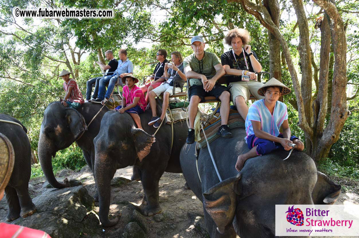 Elephant Safari