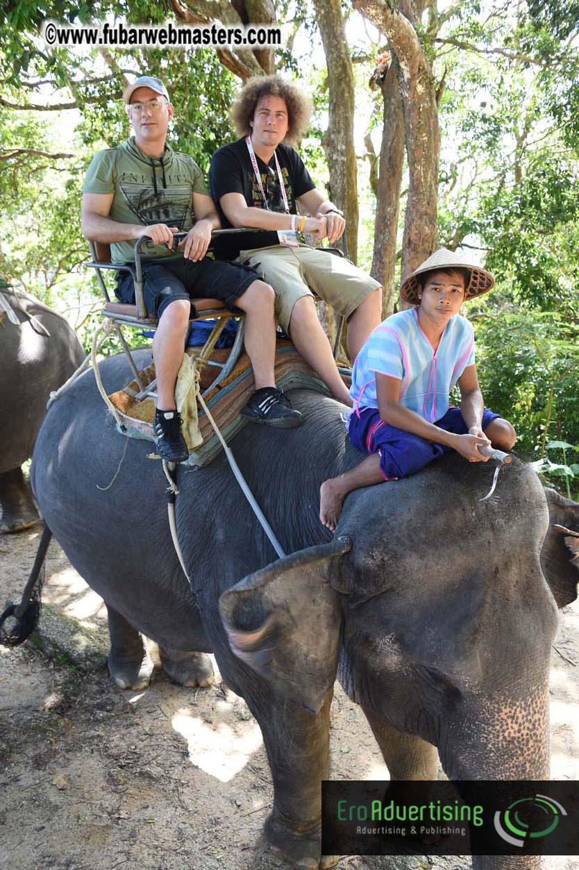 Elephant Safari