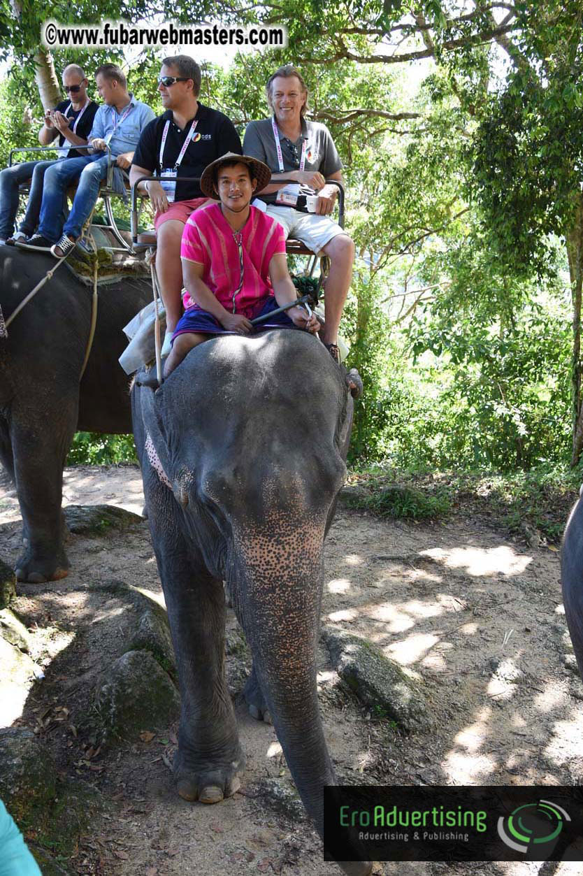 Elephant Safari