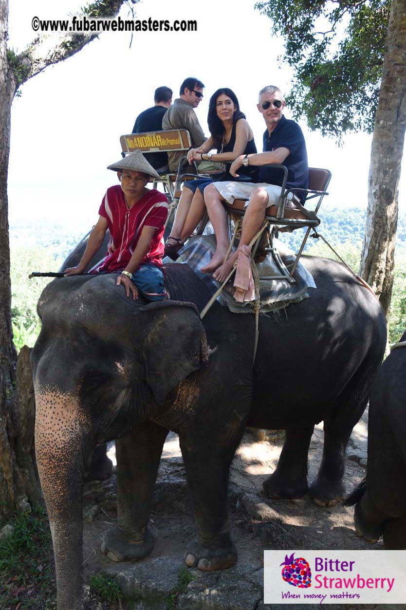 Elephant Safari