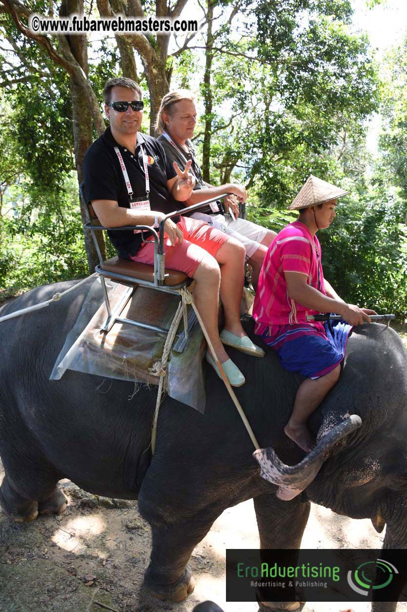 Elephant Safari