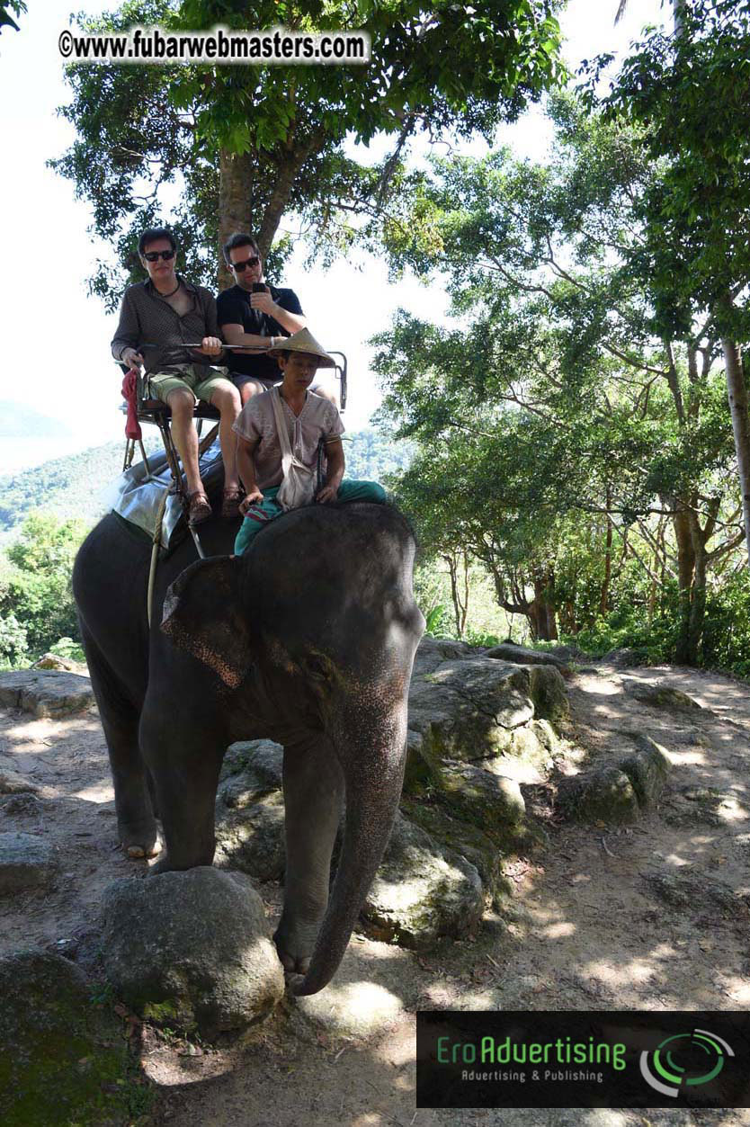 Elephant Safari