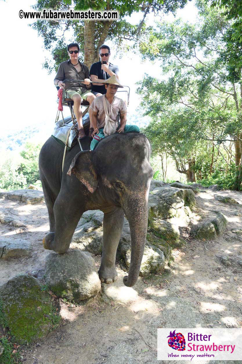 Elephant Safari