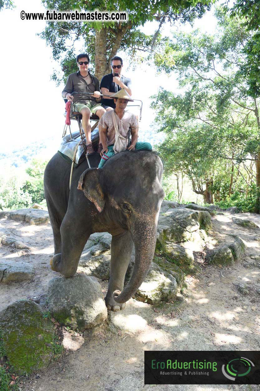 Elephant Safari