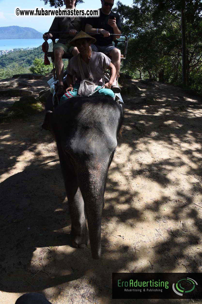 Elephant Safari