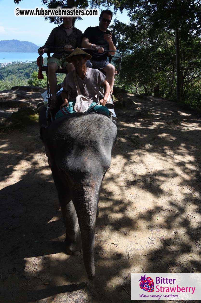 Elephant Safari