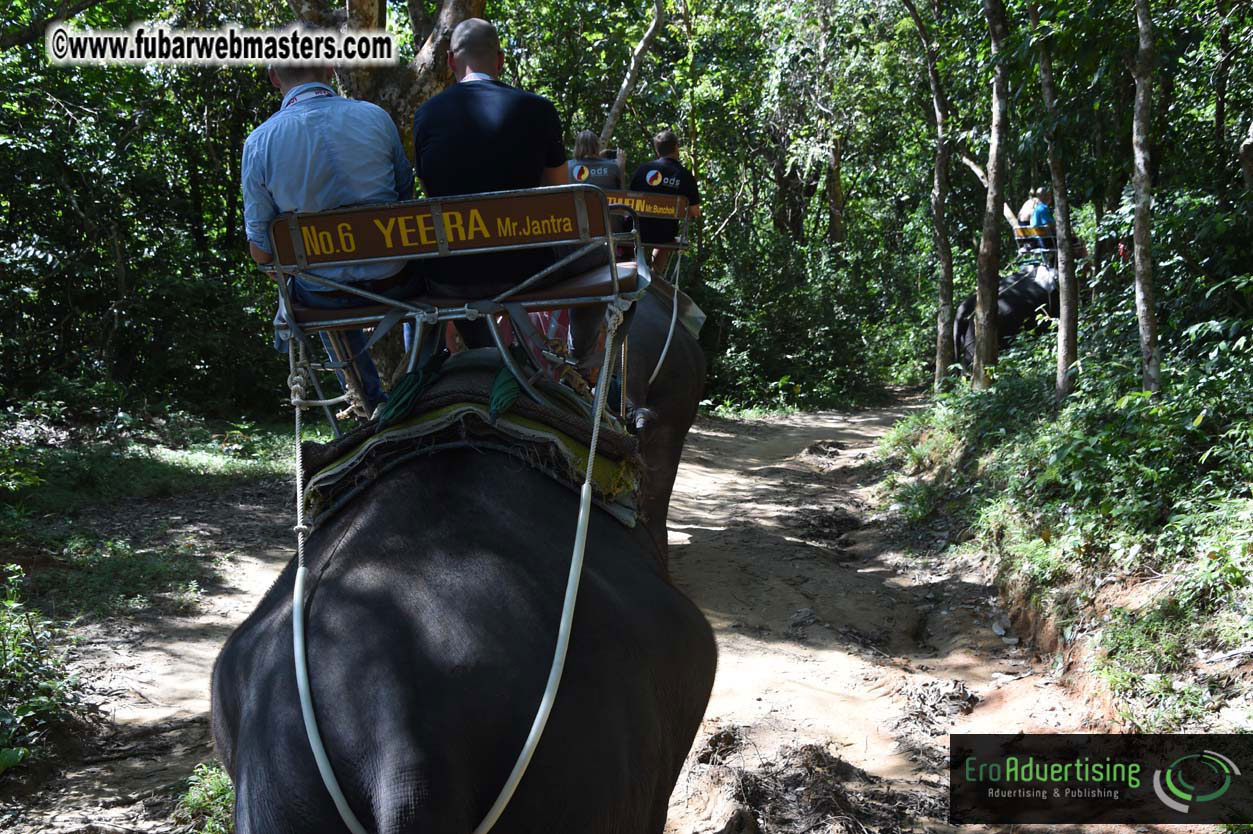 Elephant Safari