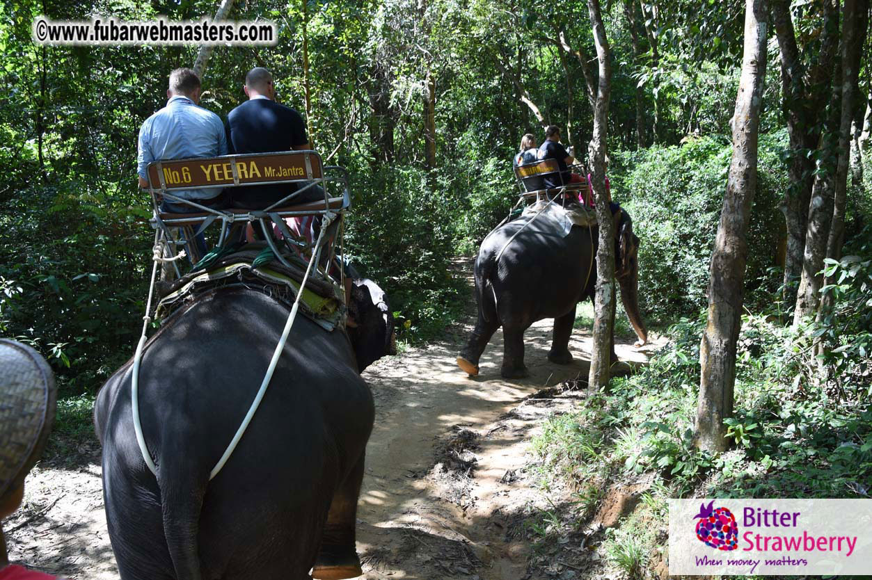 Elephant Safari