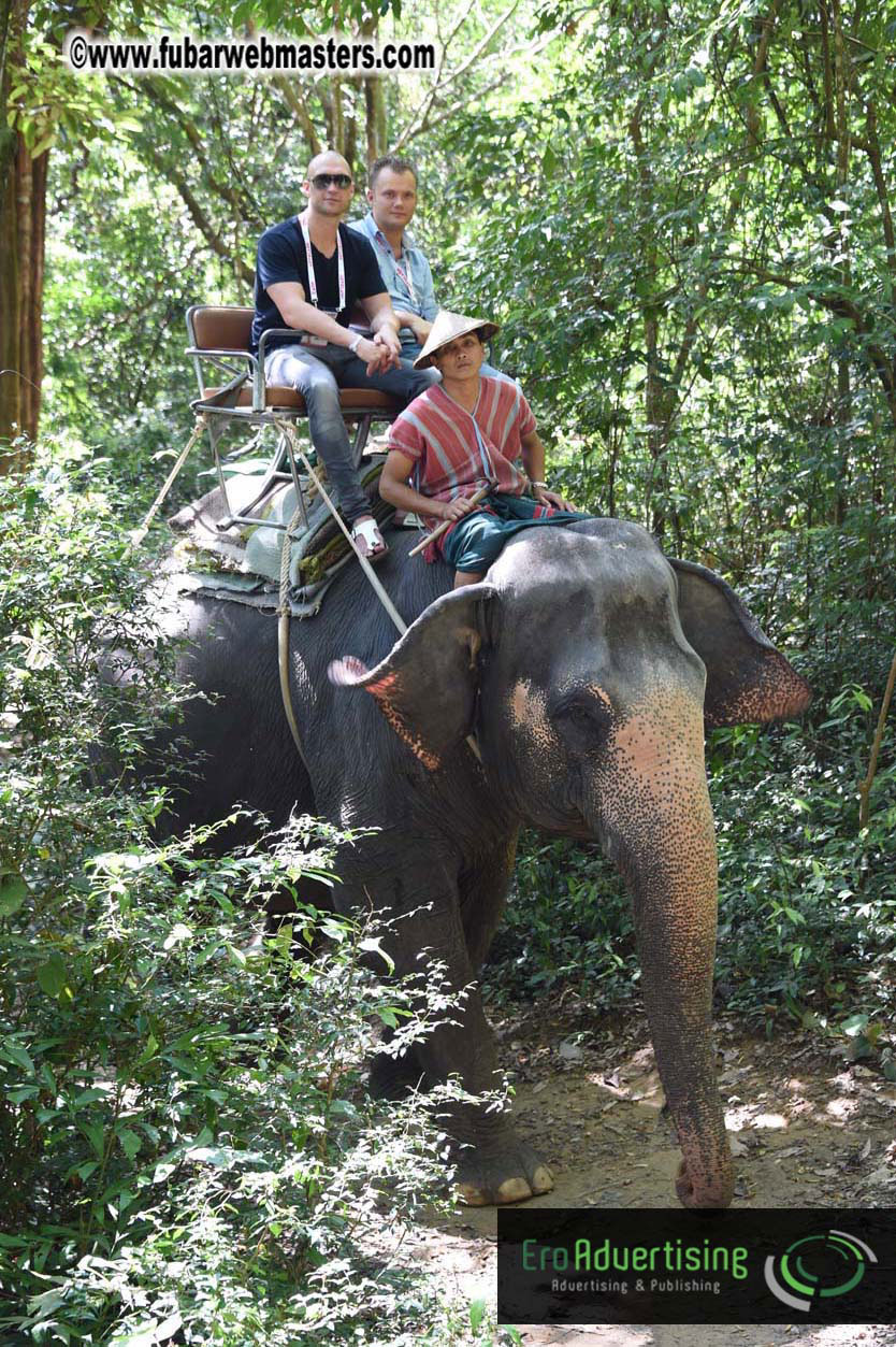 Elephant Safari