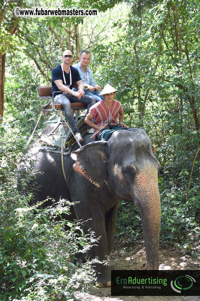 Elephant Safari