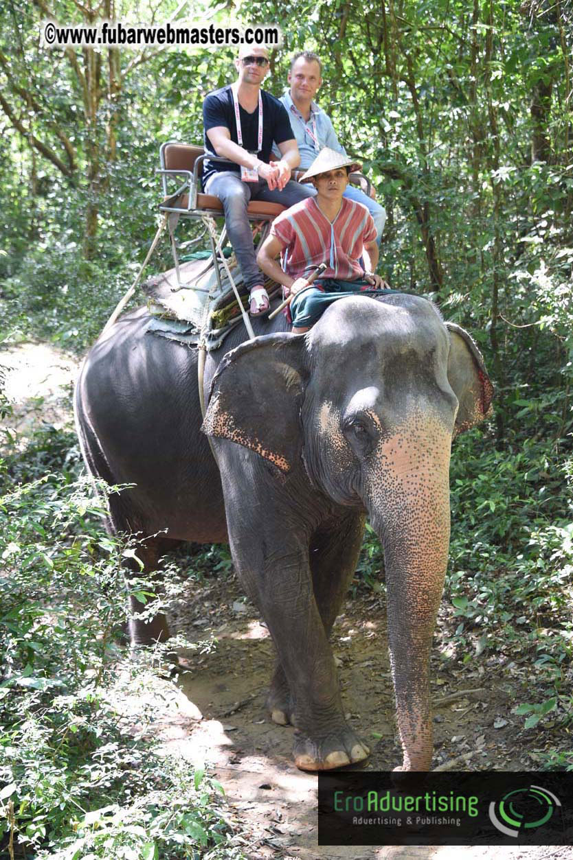 Elephant Safari