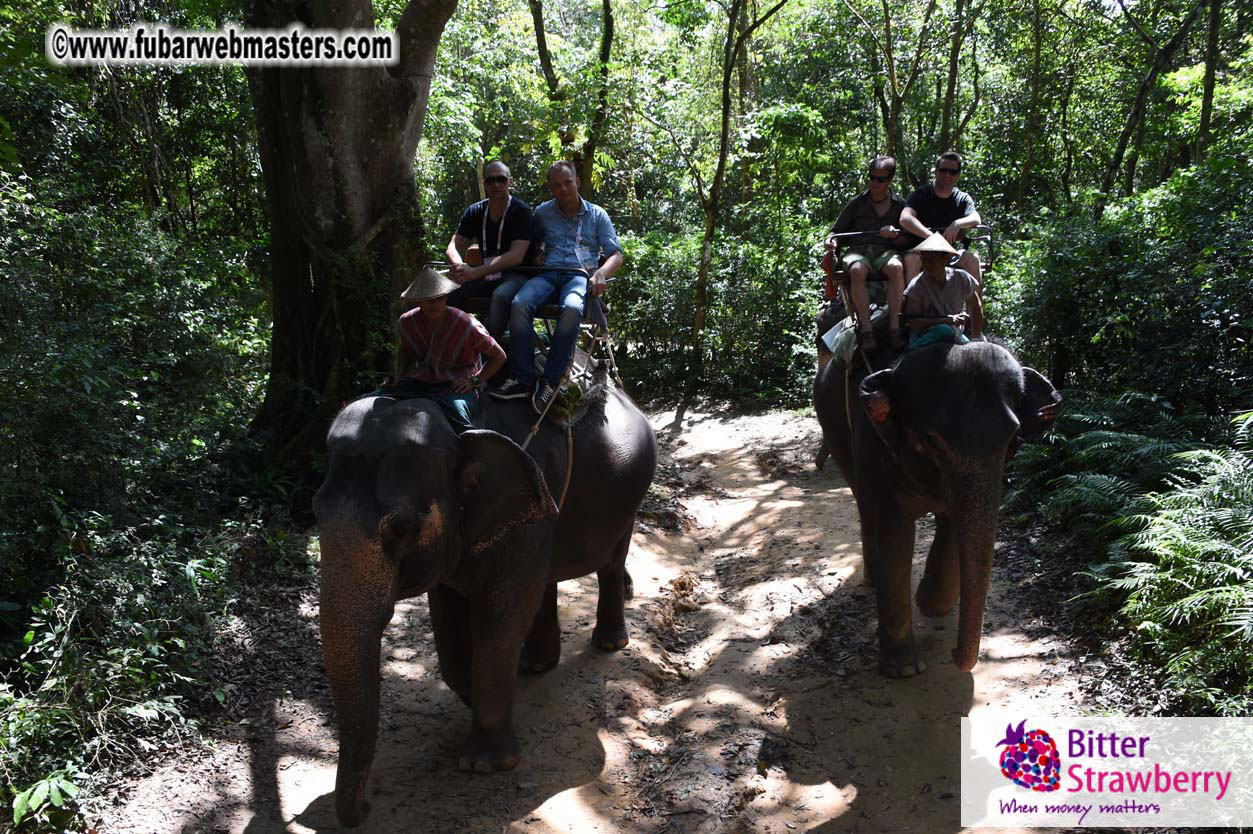 Elephant Safari