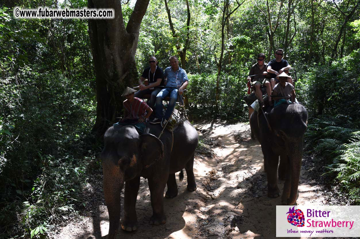 Elephant Safari