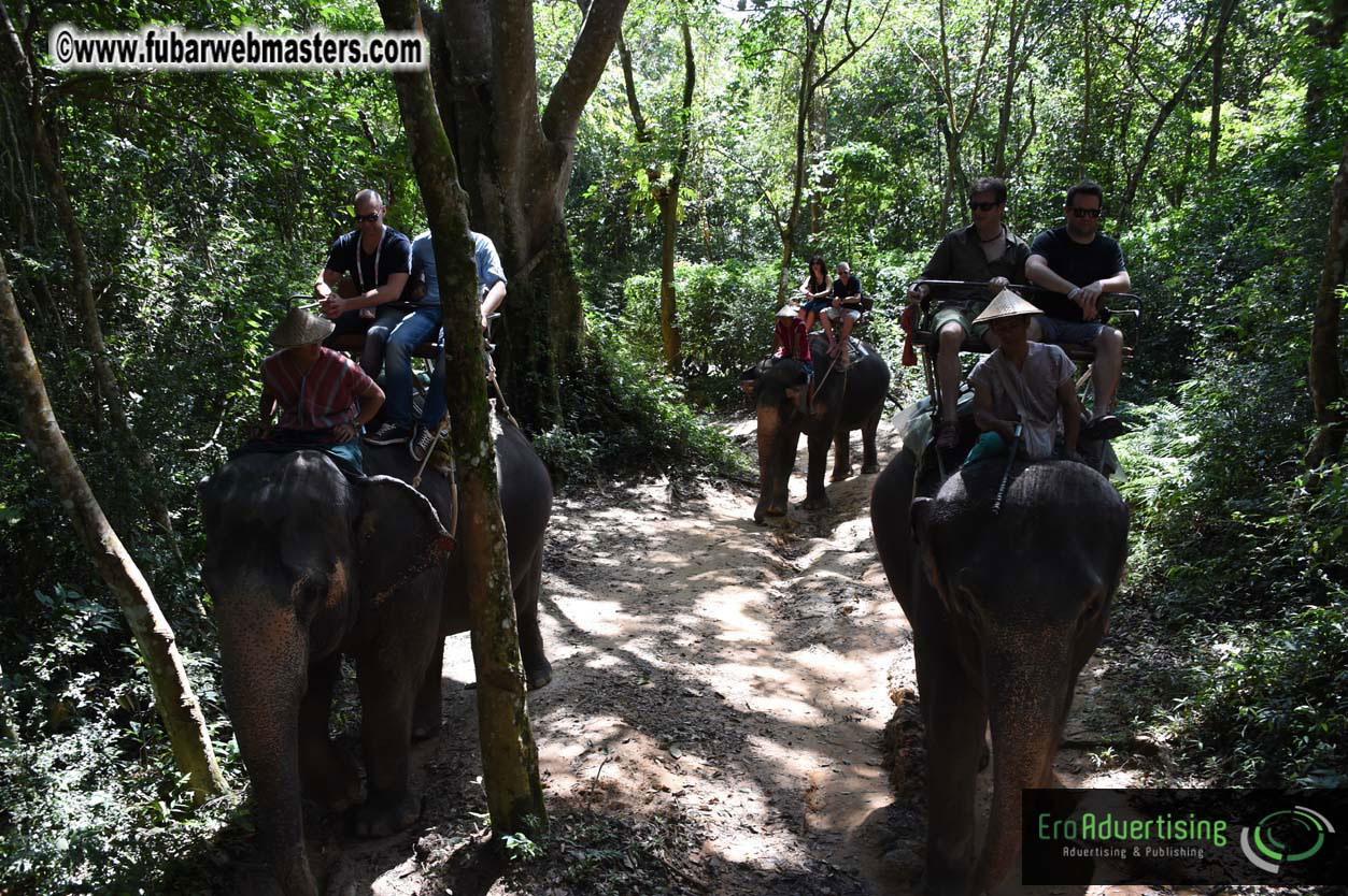 Elephant Safari