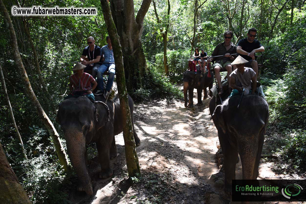 Elephant Safari