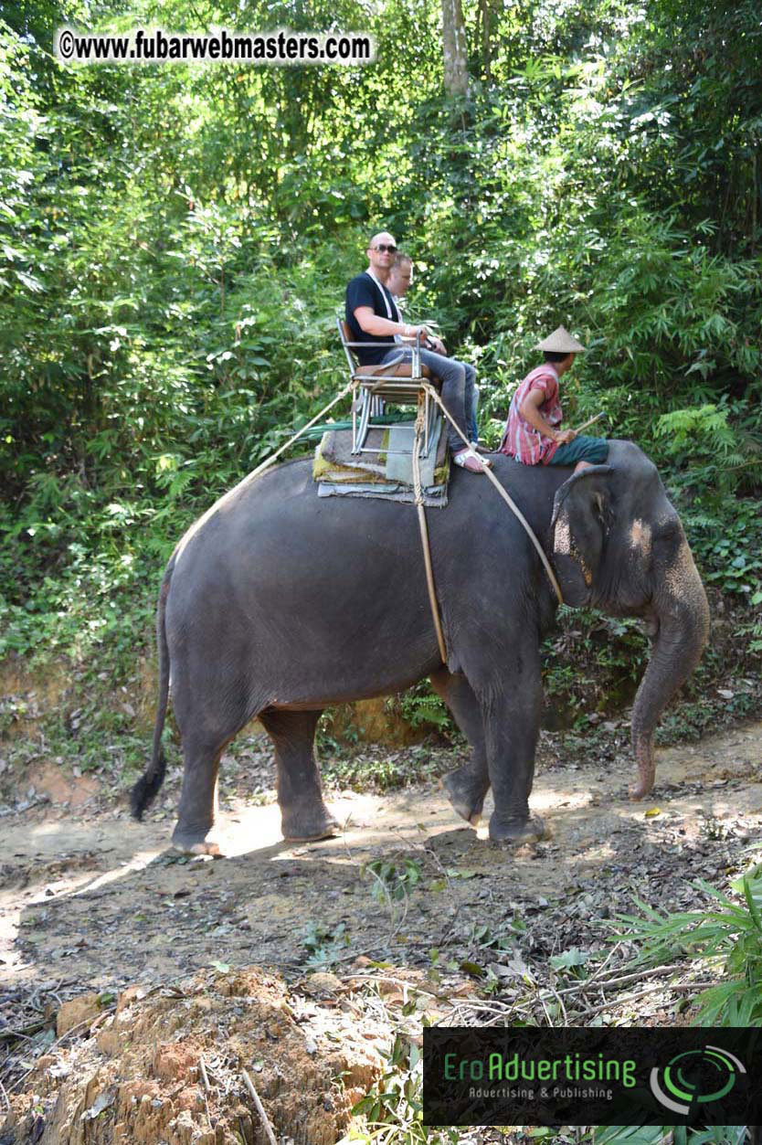 Elephant Safari