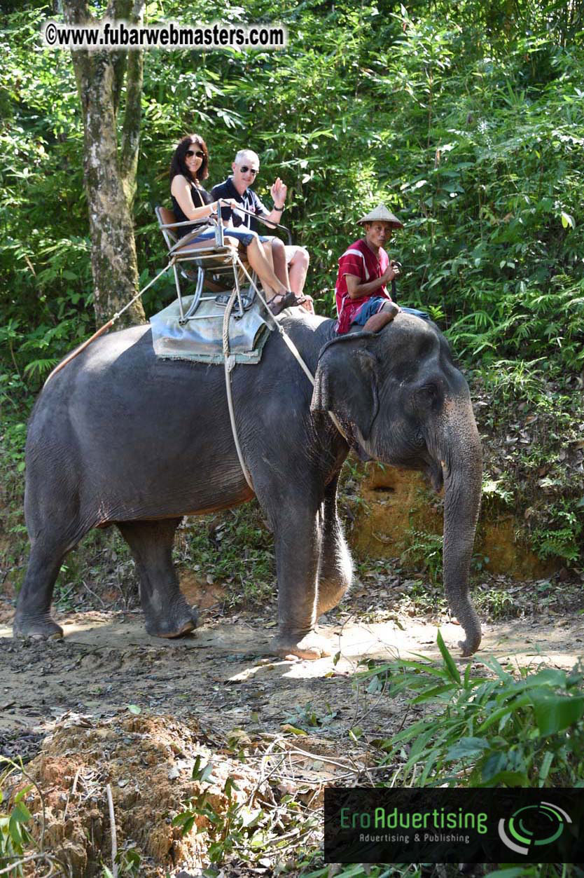 Elephant Safari