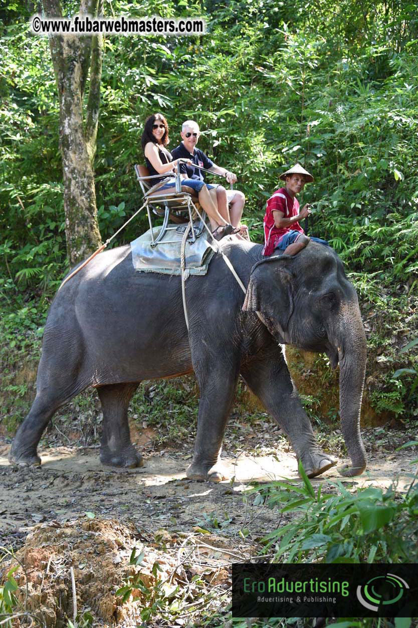 Elephant Safari