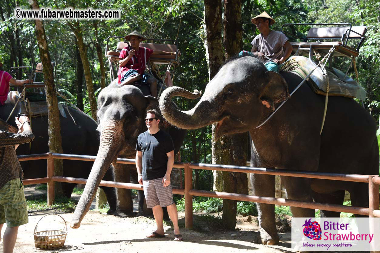 Elephant Safari