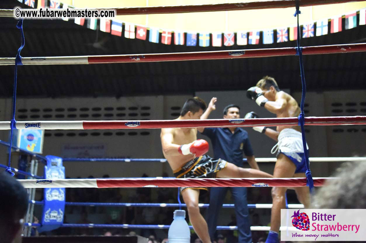 Muay Thai Boxing