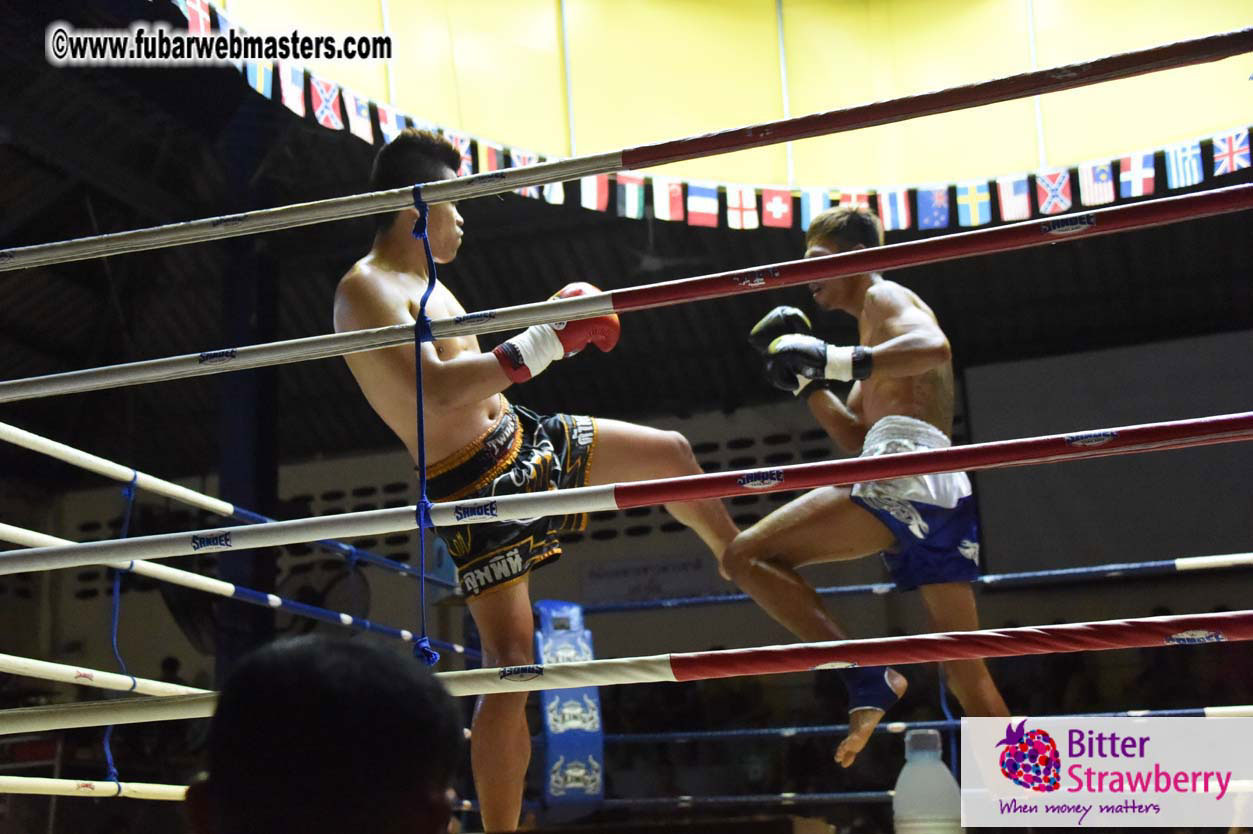 Muay Thai Boxing