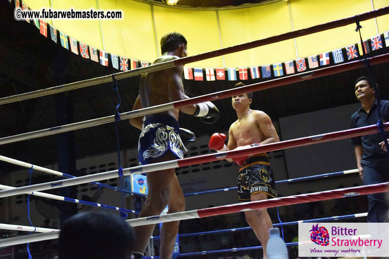 Muay Thai Boxing