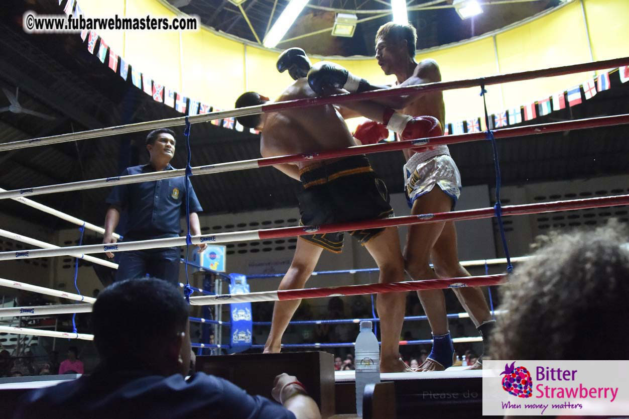 Muay Thai Boxing