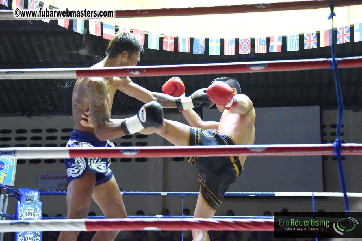 Muay Thai Boxing