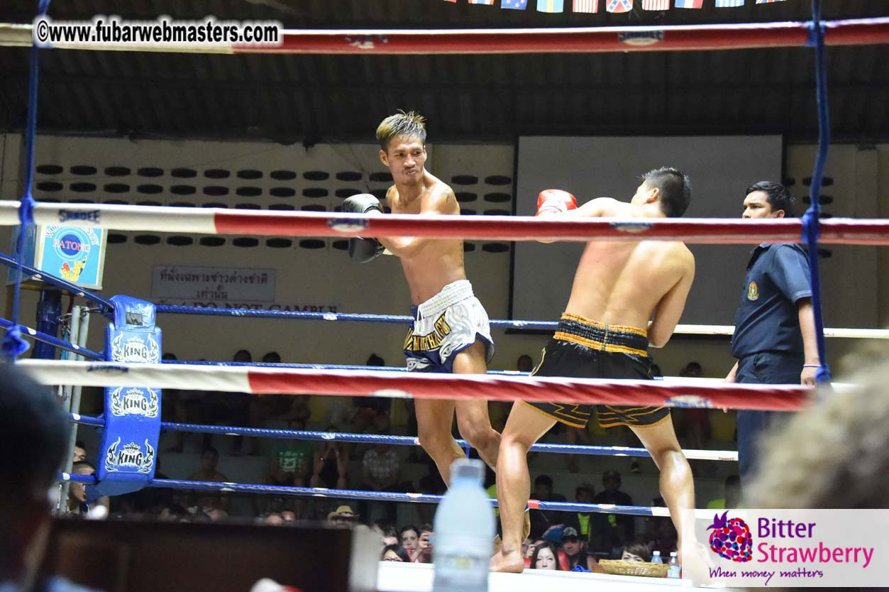 Muay Thai Boxing