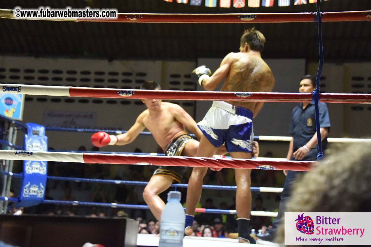 Muay Thai Boxing