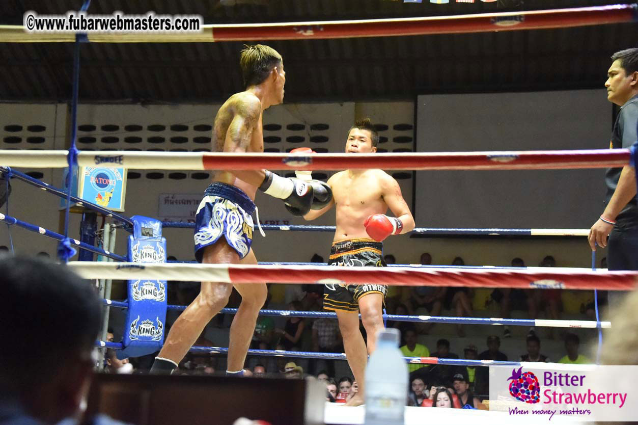 Muay Thai Boxing