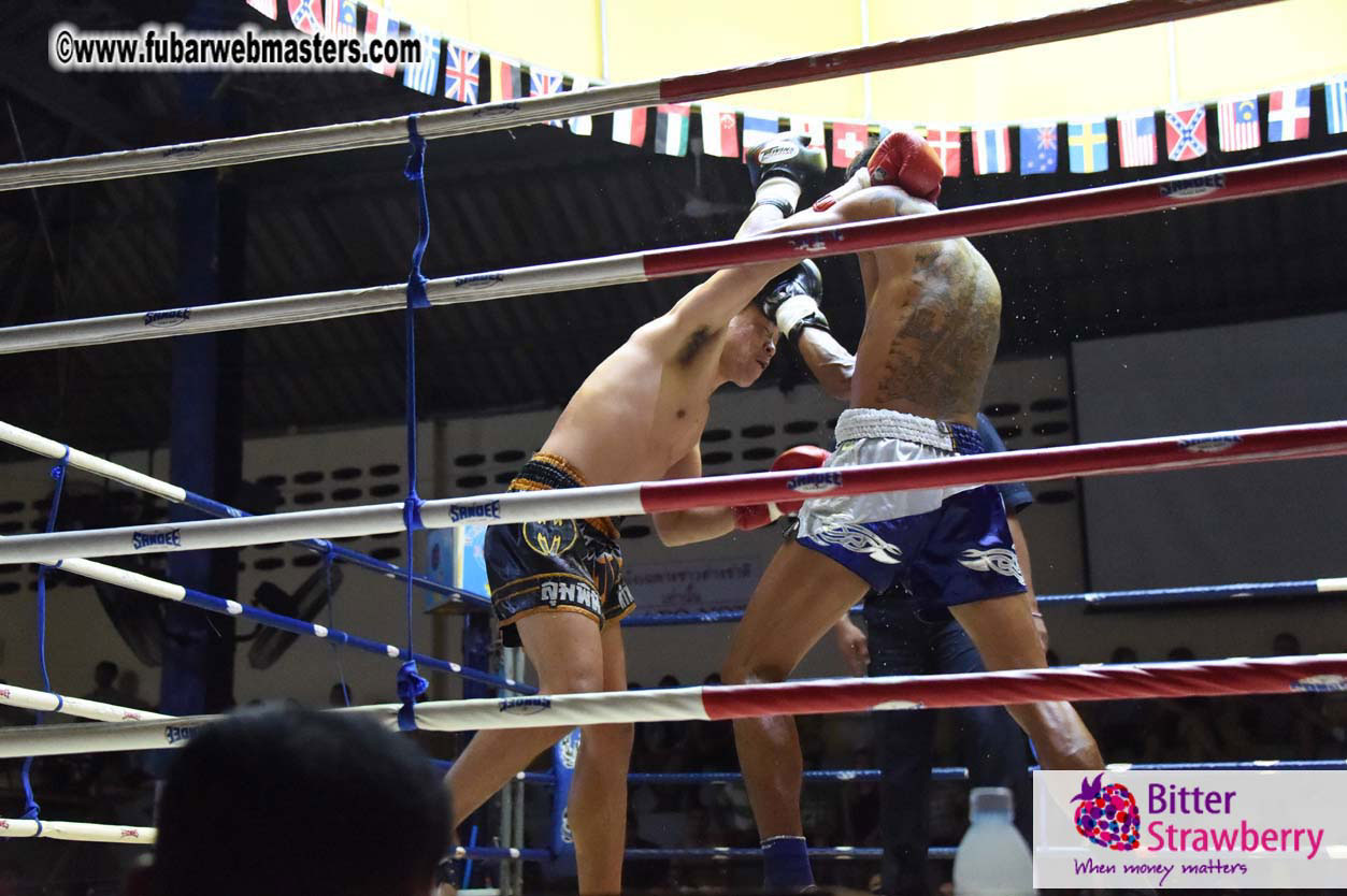 Muay Thai Boxing