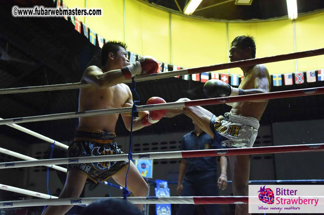 Muay Thai Boxing