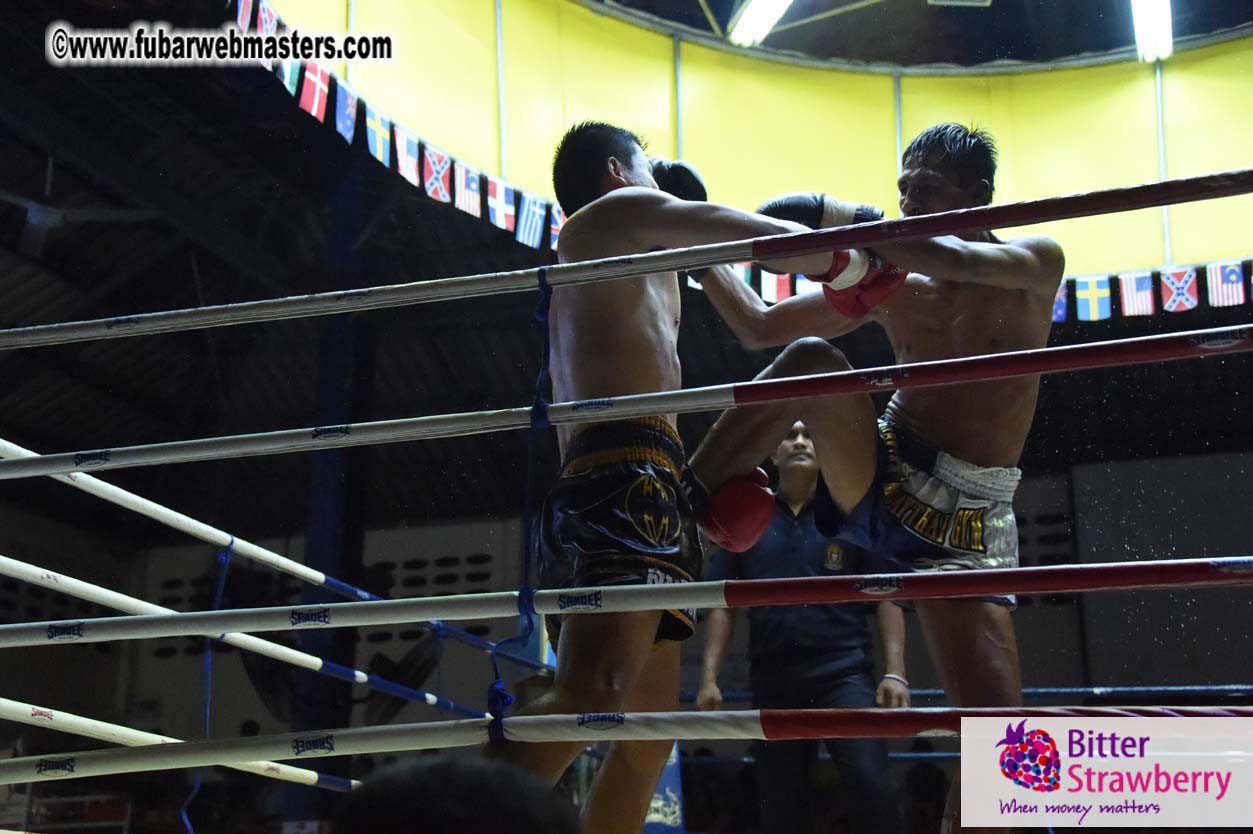 Muay Thai Boxing