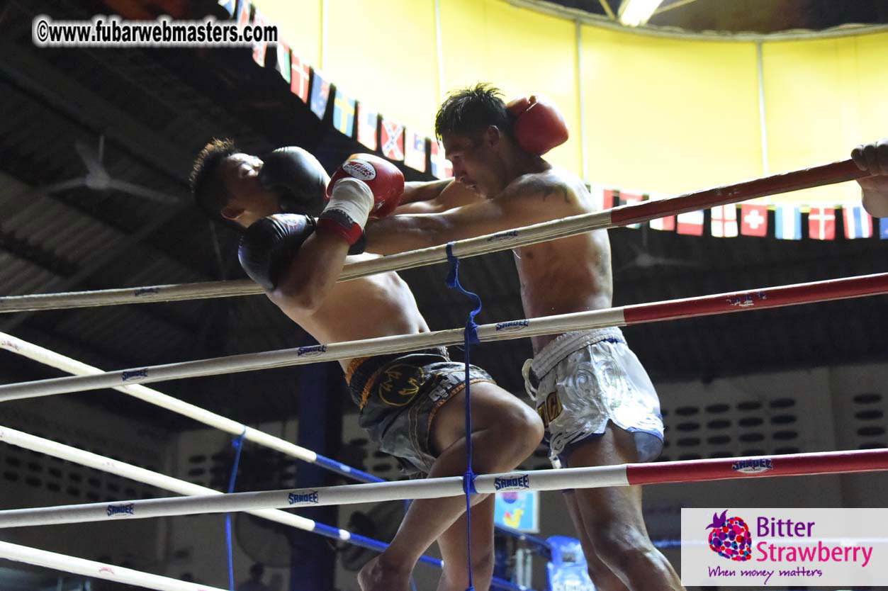 Muay Thai Boxing