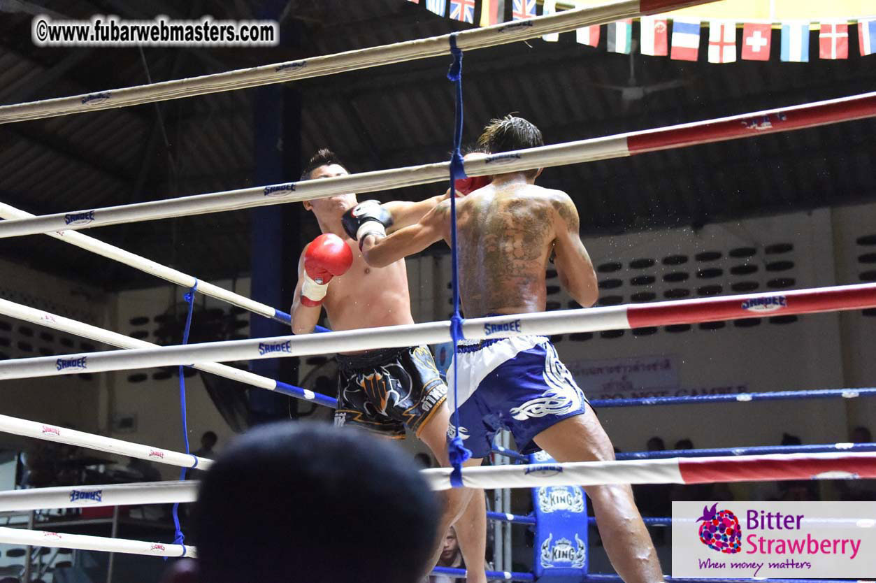 Muay Thai Boxing