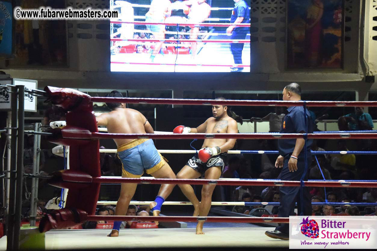 Muay Thai Boxing