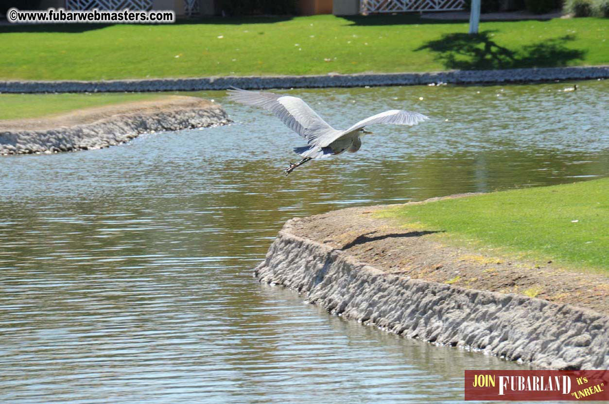 7th Annual TPF Golf Tournament