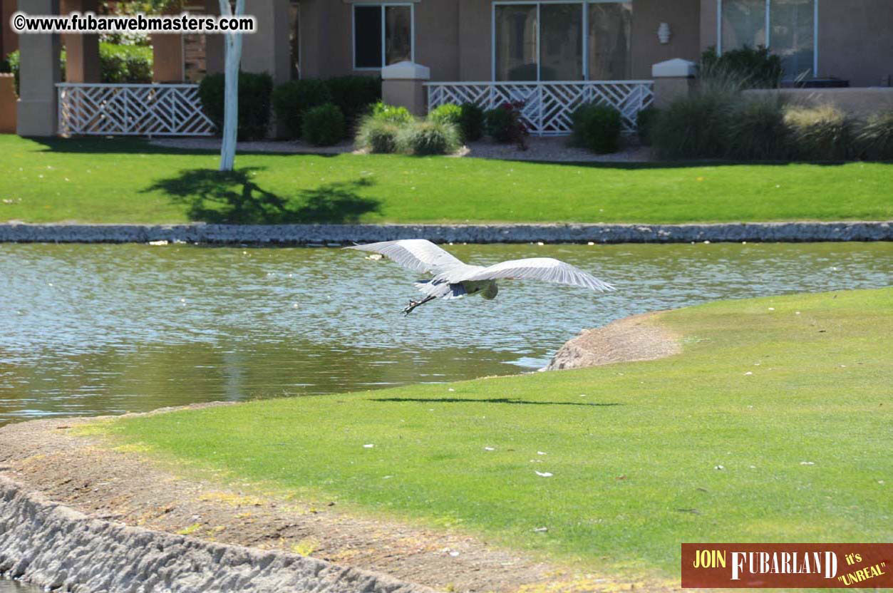 7th Annual TPF Golf Tournament