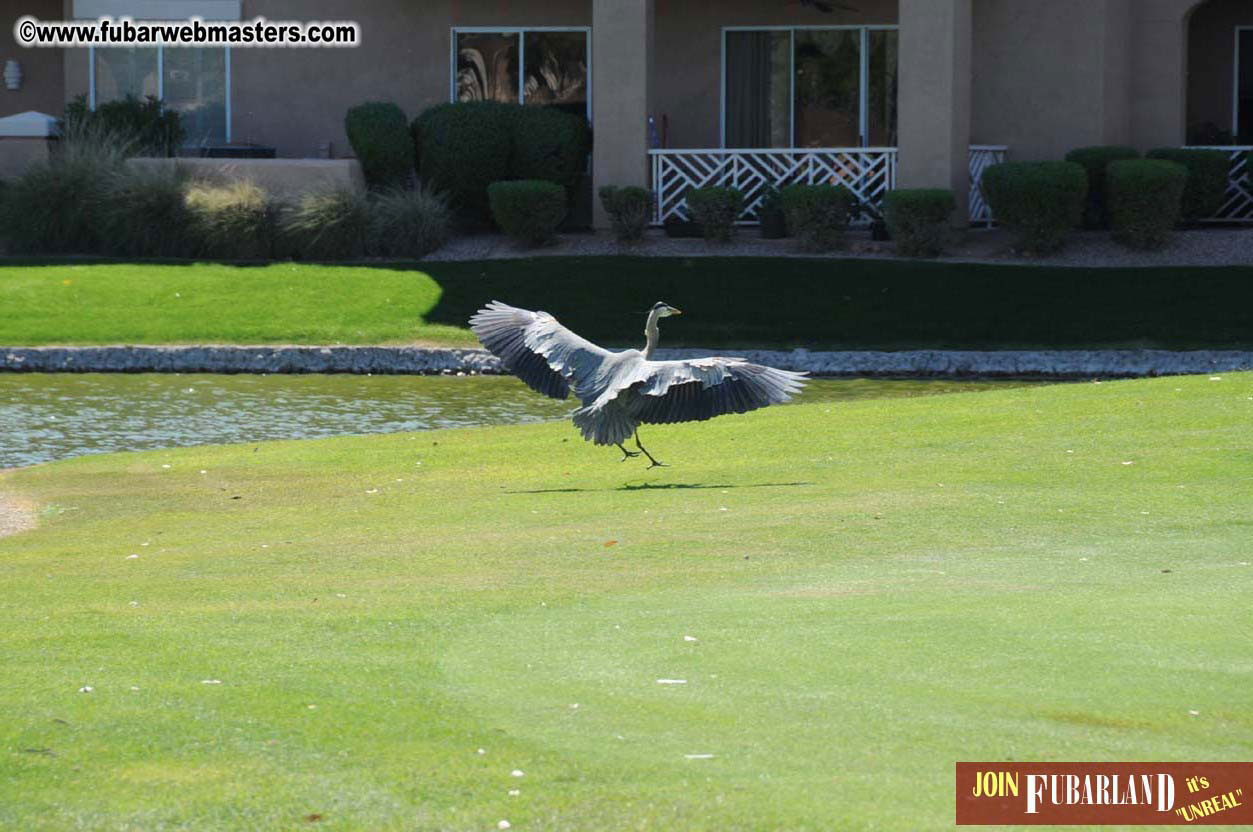 7th Annual TPF Golf Tournament