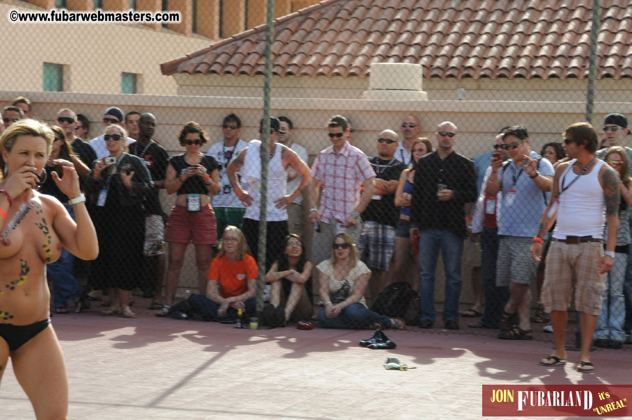 Lightspeed Webmaster Dodgeball & Photo Shoot