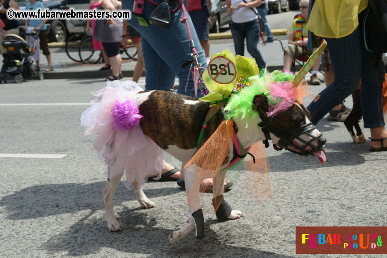 Annual Dyke March