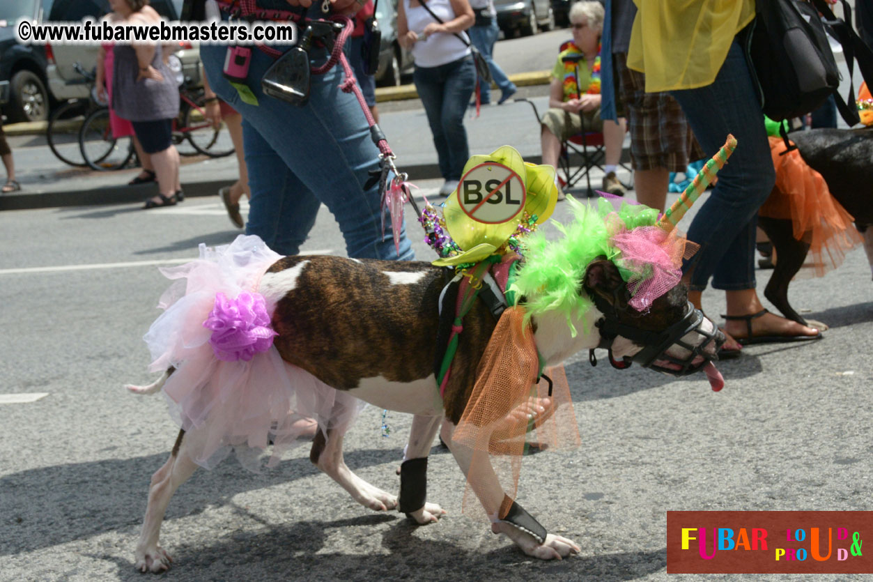 Annual Dyke March