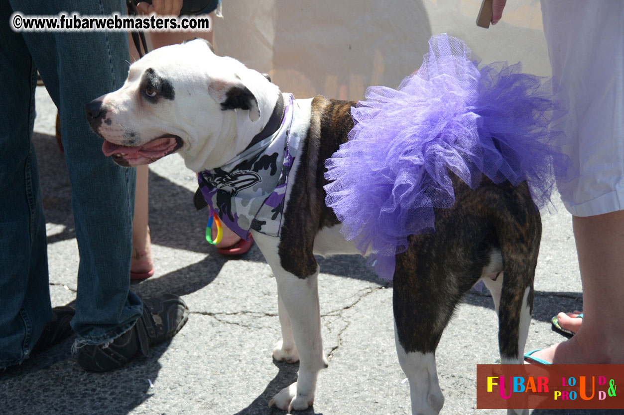 Annual Pride Parade