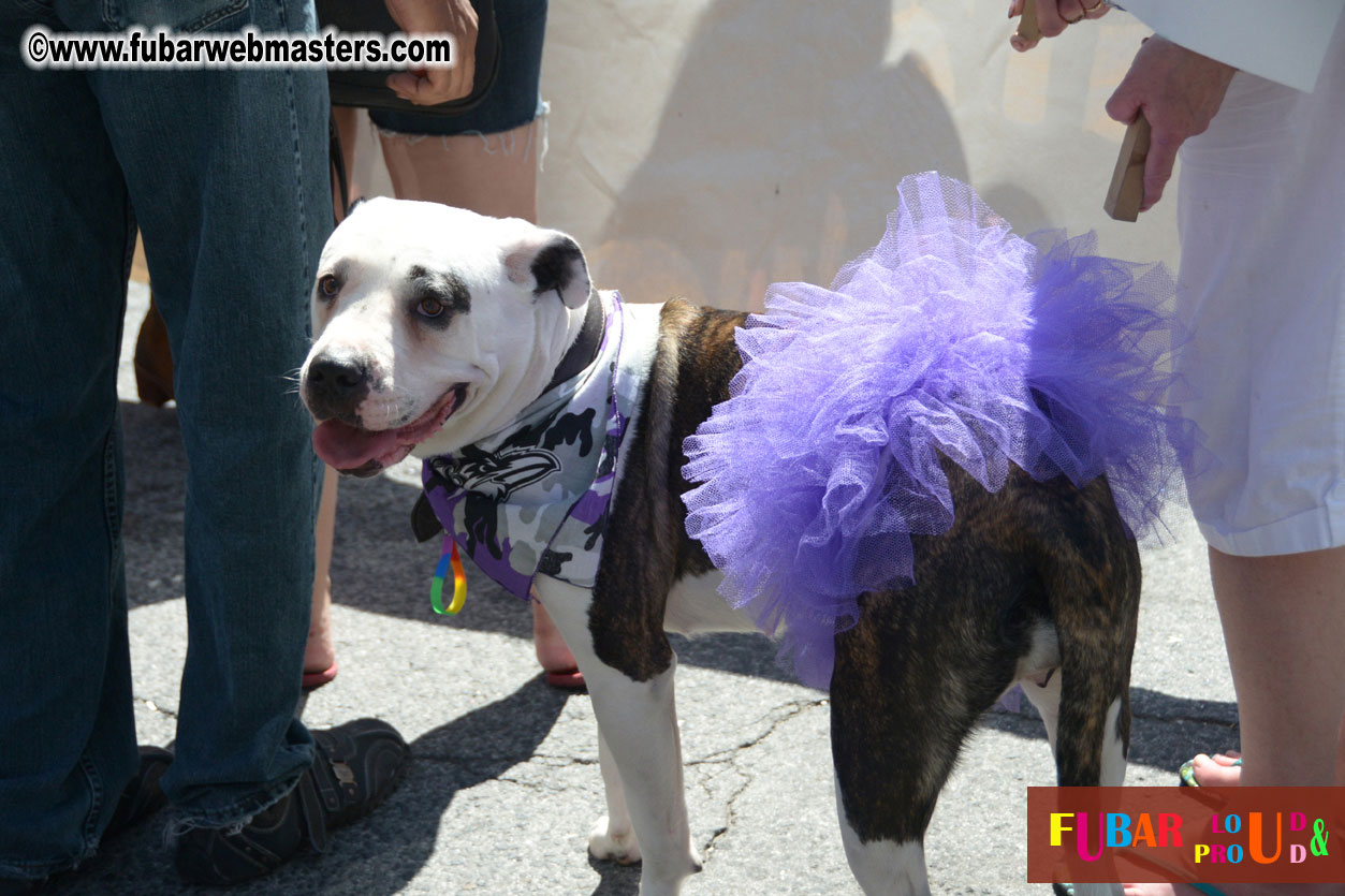 Annual Pride Parade