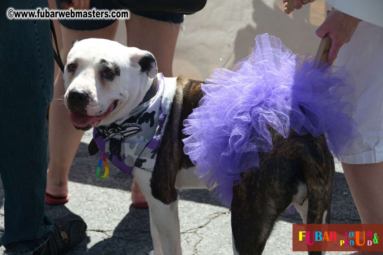 Annual Pride Parade