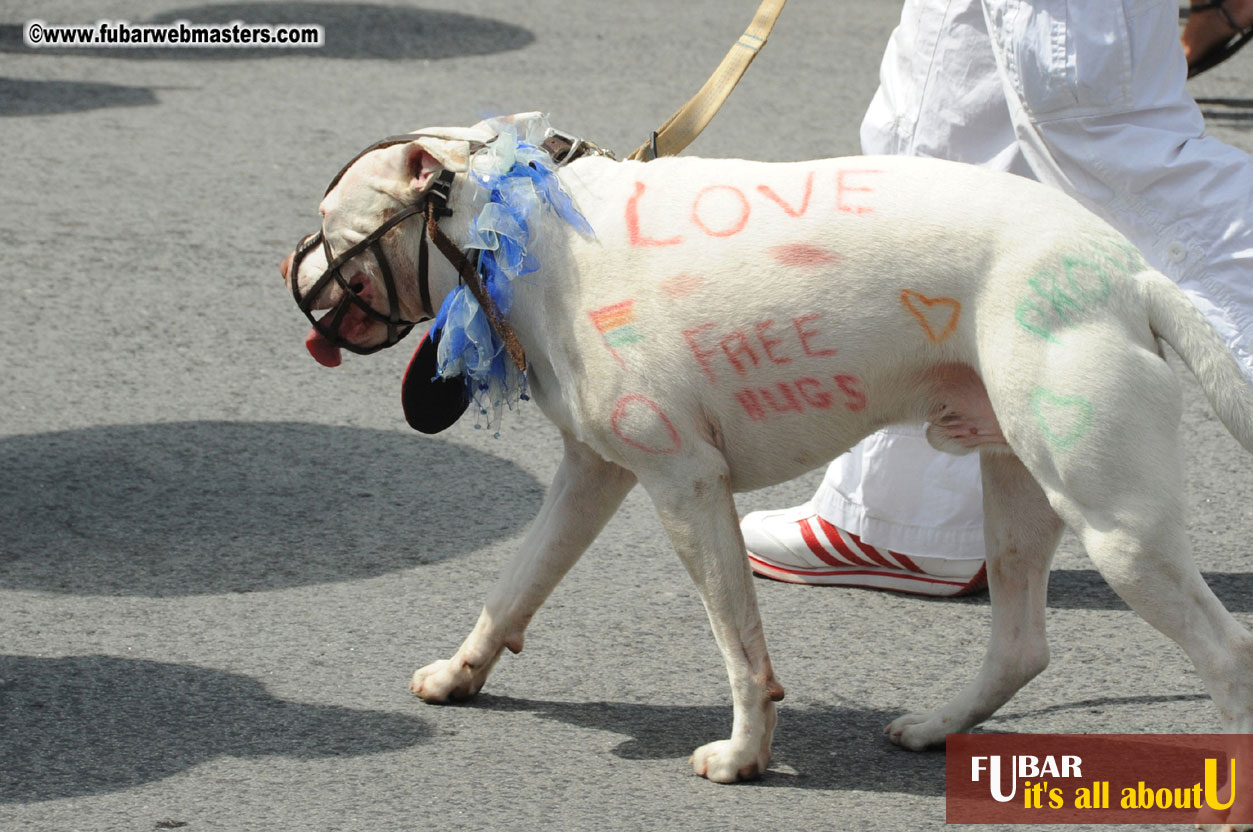 The Pride Parade