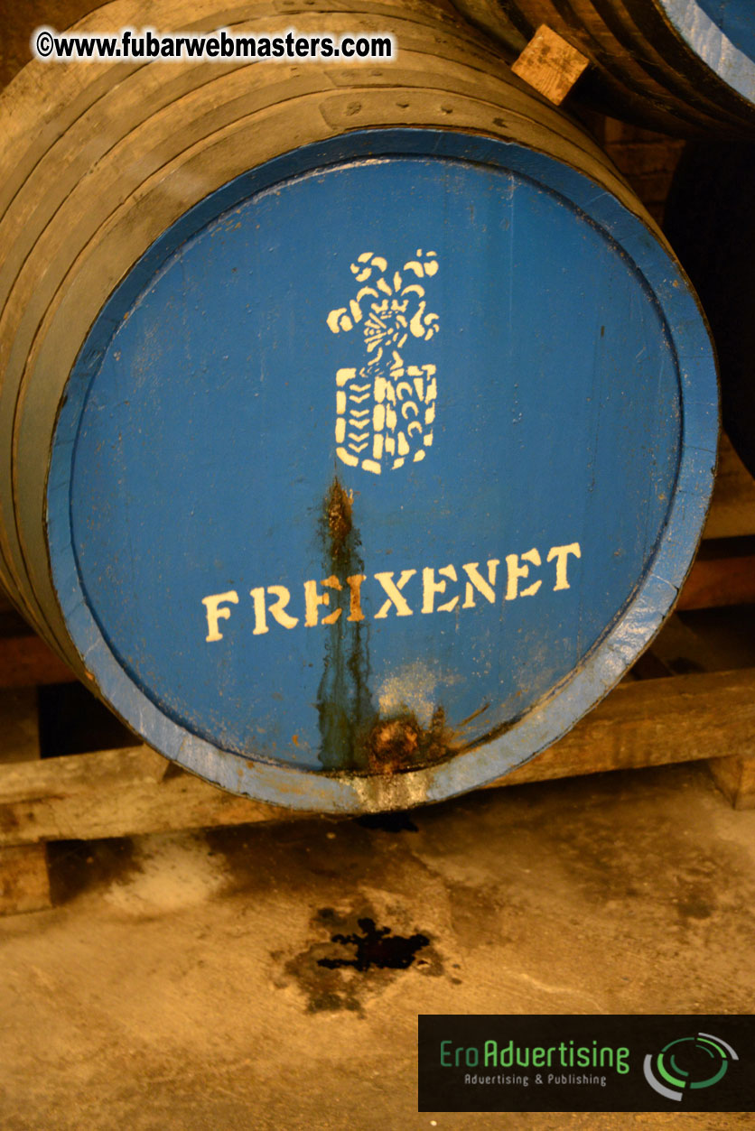 Freixenet Winery private ?á la carte visit