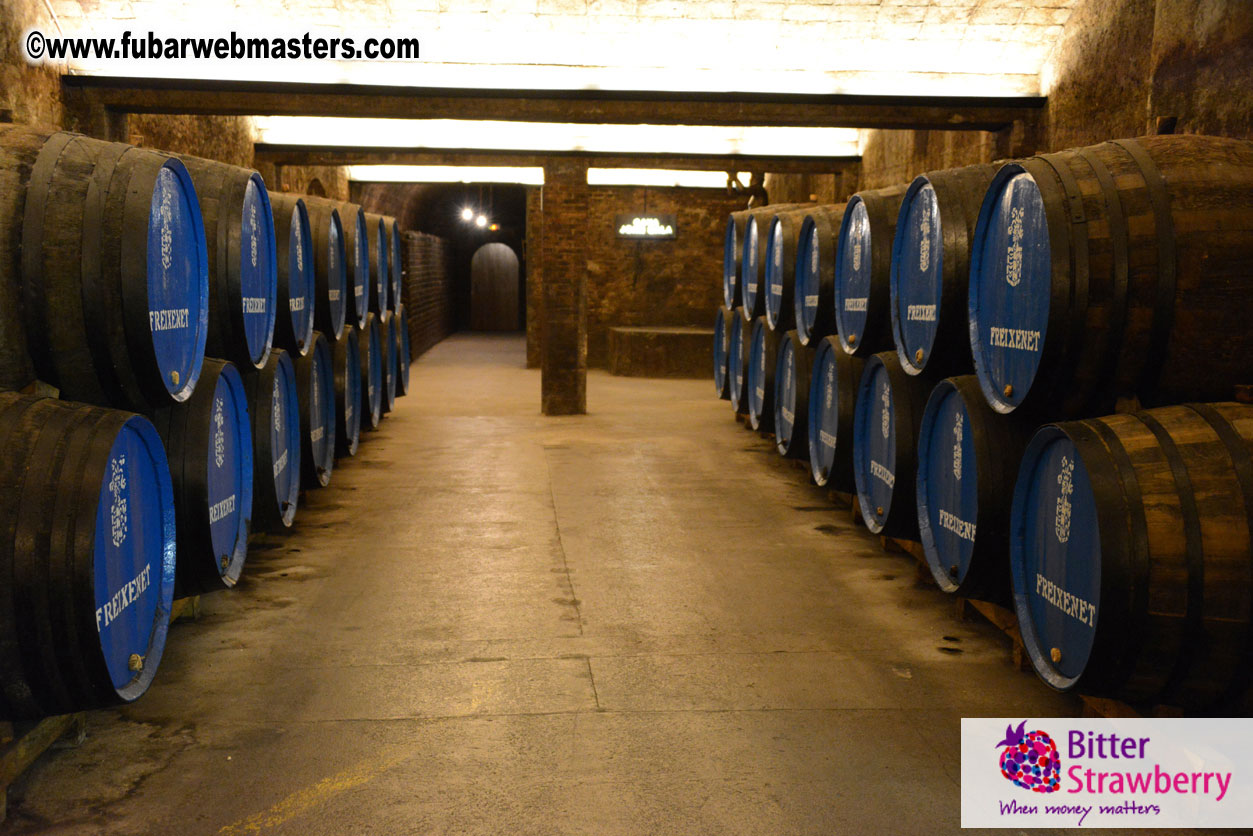 Freixenet Winery private ?á la carte visit